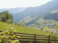 Ausblick von den Ferienwohnungen